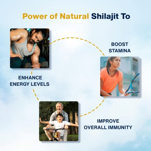 Himalyan Pure Shilajit 60 Tablets